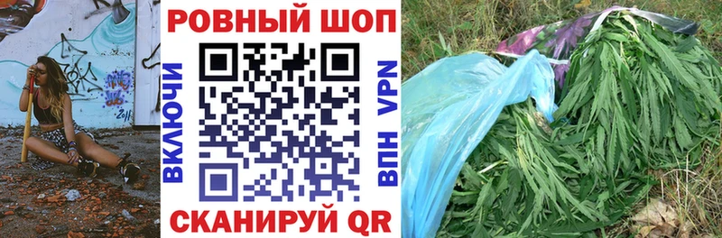 Где купить наркотики Краснозаводск Кокаин  Псилоцибиновые грибы  Канабис 