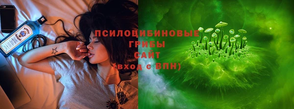 амф Саяногорск